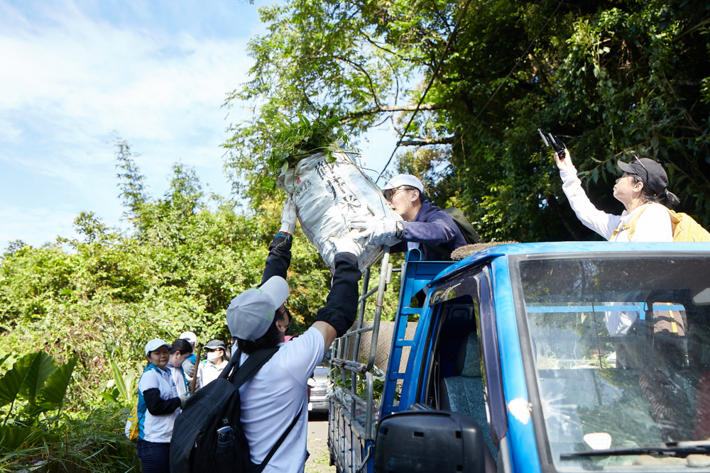 友達串聯志工組成水環境巡守隊，針對霄裡溪沿岸3公里的小花蔓澤蘭，定期進行移除與防治工作